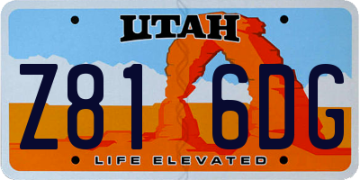 UT license plate Z816DG