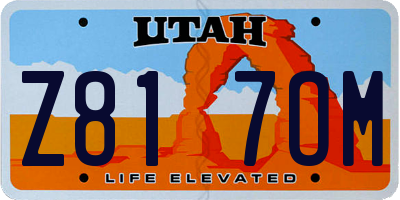 UT license plate Z817OM