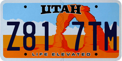 UT license plate Z817TM