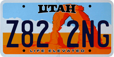 UT license plate Z822NG