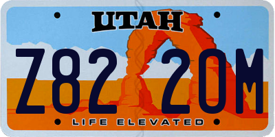 UT license plate Z822OM