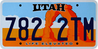 UT license plate Z822TM