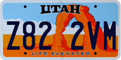 UT license plate Z822VM