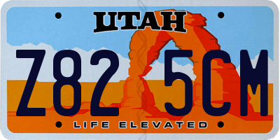 UT license plate Z825CM
