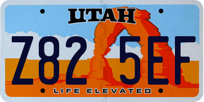 UT license plate Z825EF