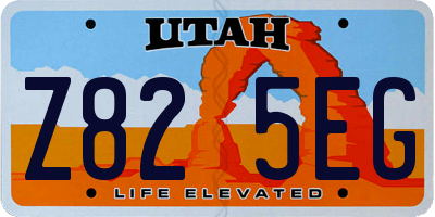 UT license plate Z825EG