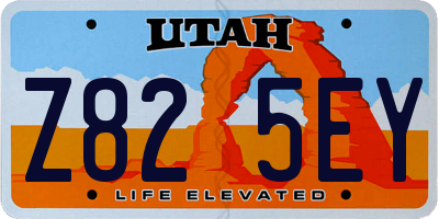 UT license plate Z825EY
