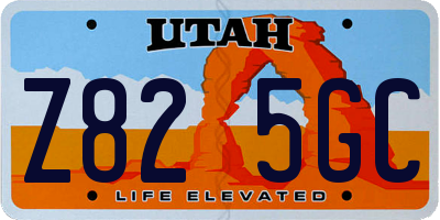 UT license plate Z825GC