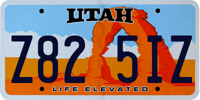 UT license plate Z825IZ