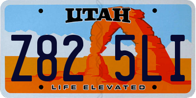 UT license plate Z825LI