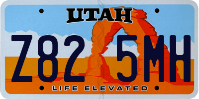 UT license plate Z825MH