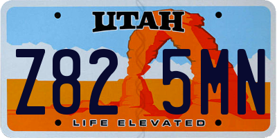 UT license plate Z825MN