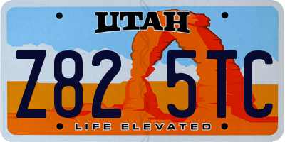 UT license plate Z825TC