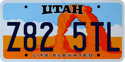 UT license plate Z825TL