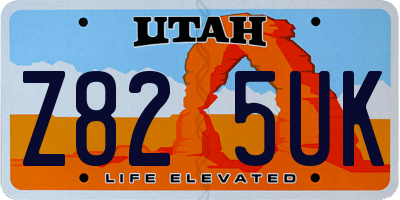 UT license plate Z825UK