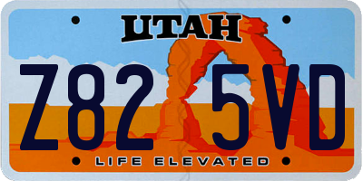 UT license plate Z825VD