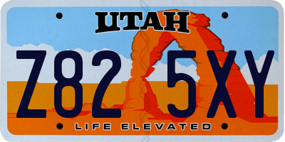 UT license plate Z825XY