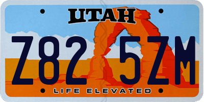 UT license plate Z825ZM