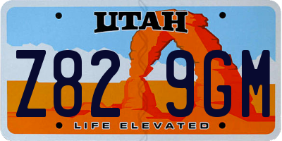 UT license plate Z829GM