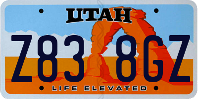 UT license plate Z838GZ