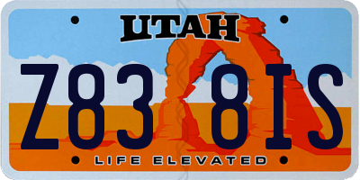 UT license plate Z838IS