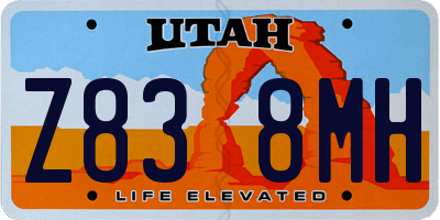 UT license plate Z838MH