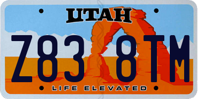 UT license plate Z838TM