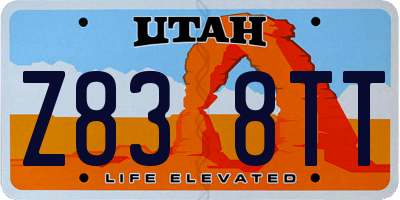 UT license plate Z838TT