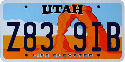 UT license plate Z839IB