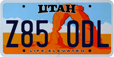 UT license plate Z850DL