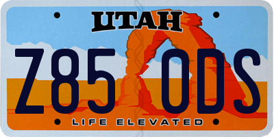 UT license plate Z850DS