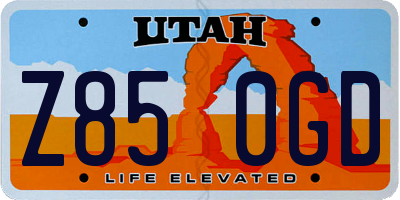 UT license plate Z850GD