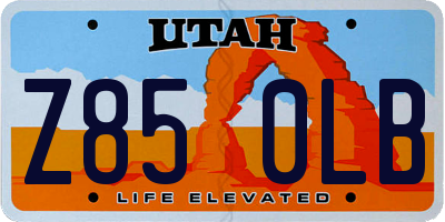 UT license plate Z850LB