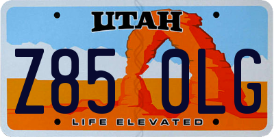 UT license plate Z850LG