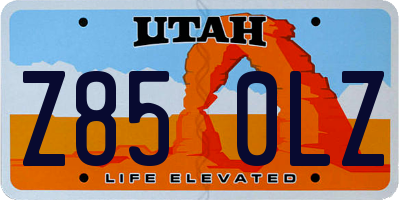 UT license plate Z850LZ