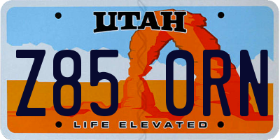 UT license plate Z850RN