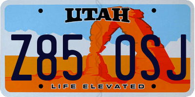 UT license plate Z850SJ