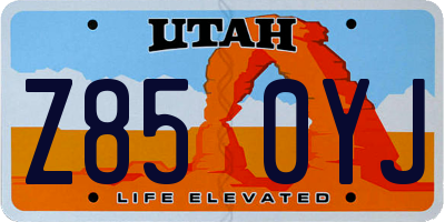 UT license plate Z850YJ