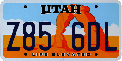 UT license plate Z856DL