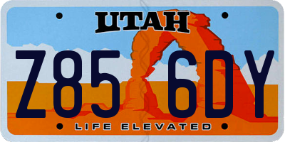 UT license plate Z856DY