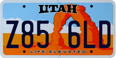UT license plate Z856LD