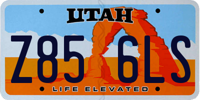 UT license plate Z856LS