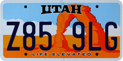 UT license plate Z859LG