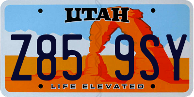 UT license plate Z859SY