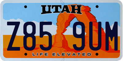 UT license plate Z859UM