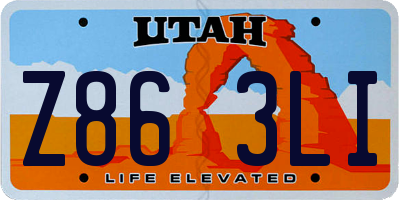 UT license plate Z863LI