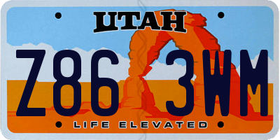 UT license plate Z863WM