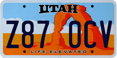 UT license plate Z870CV