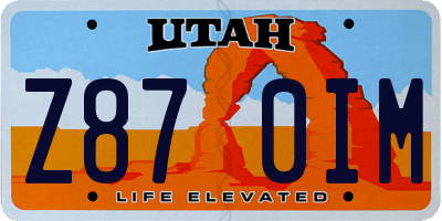 UT license plate Z870IM