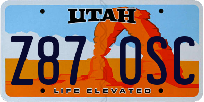 UT license plate Z870SC